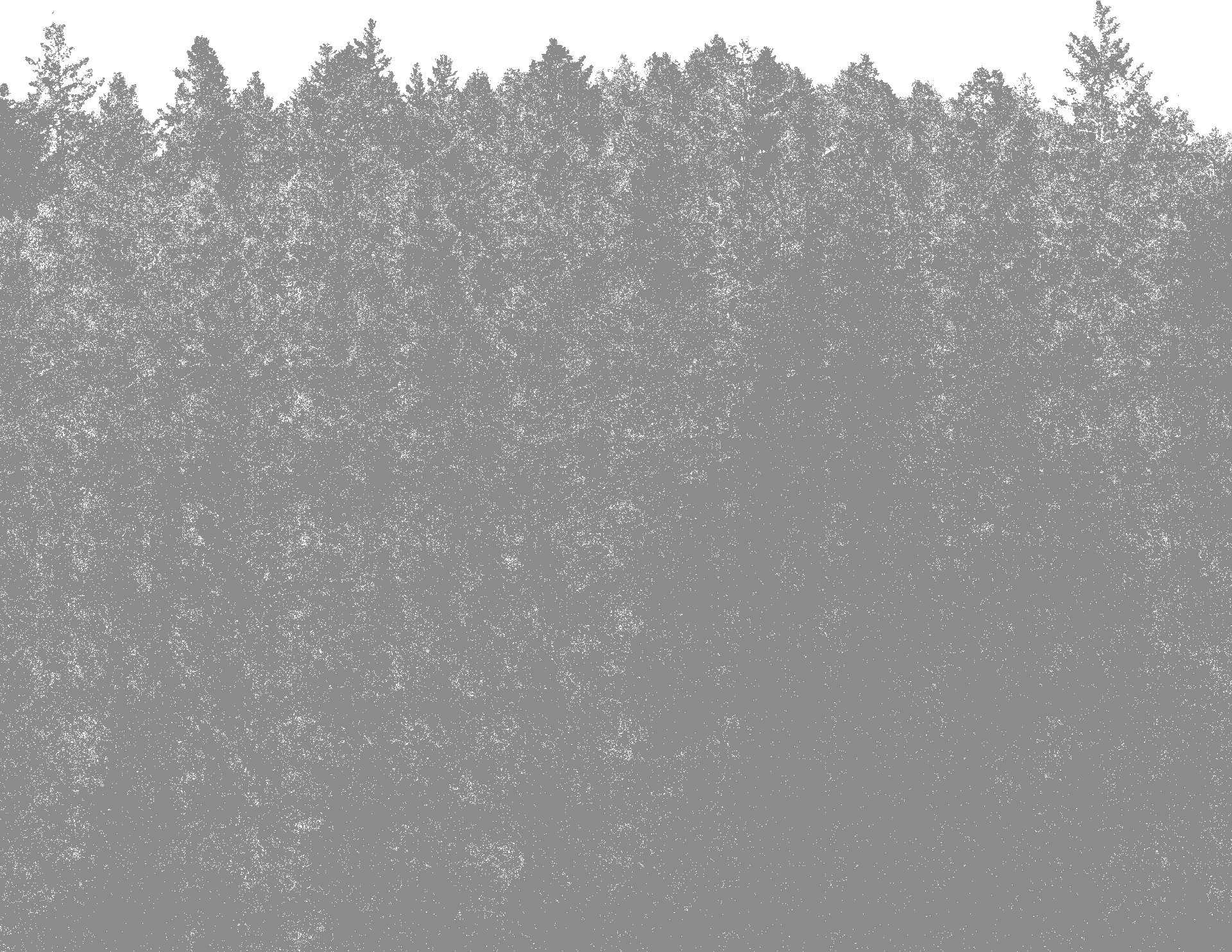 BALLENSTUDIOS™