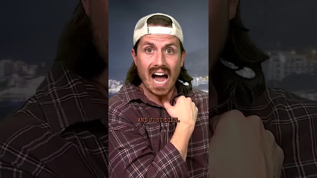 Van Life Gone Horribly Wrong....