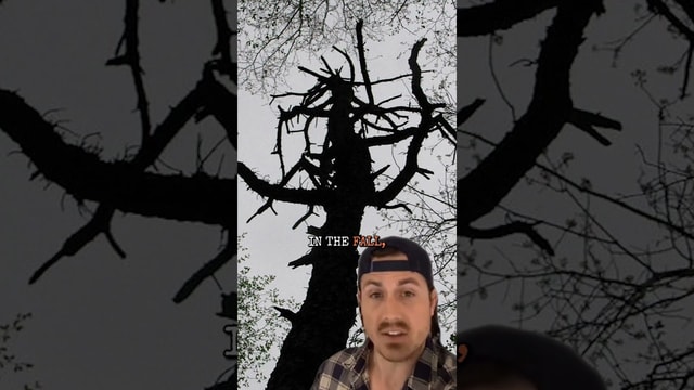 This Mysterious Thing KILLED His Wife!