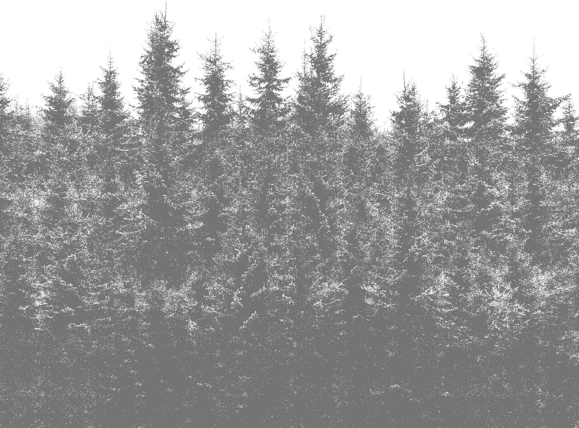 BALLENSTUDIOS™